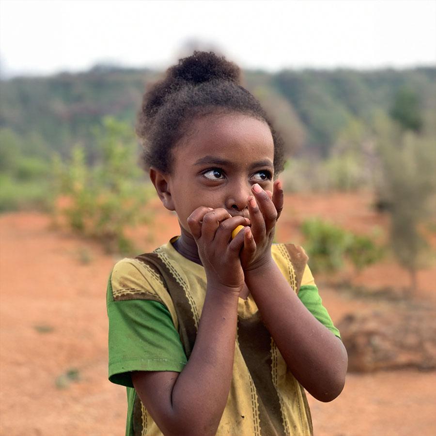 FOndazione Nuovo Fiore in Africa