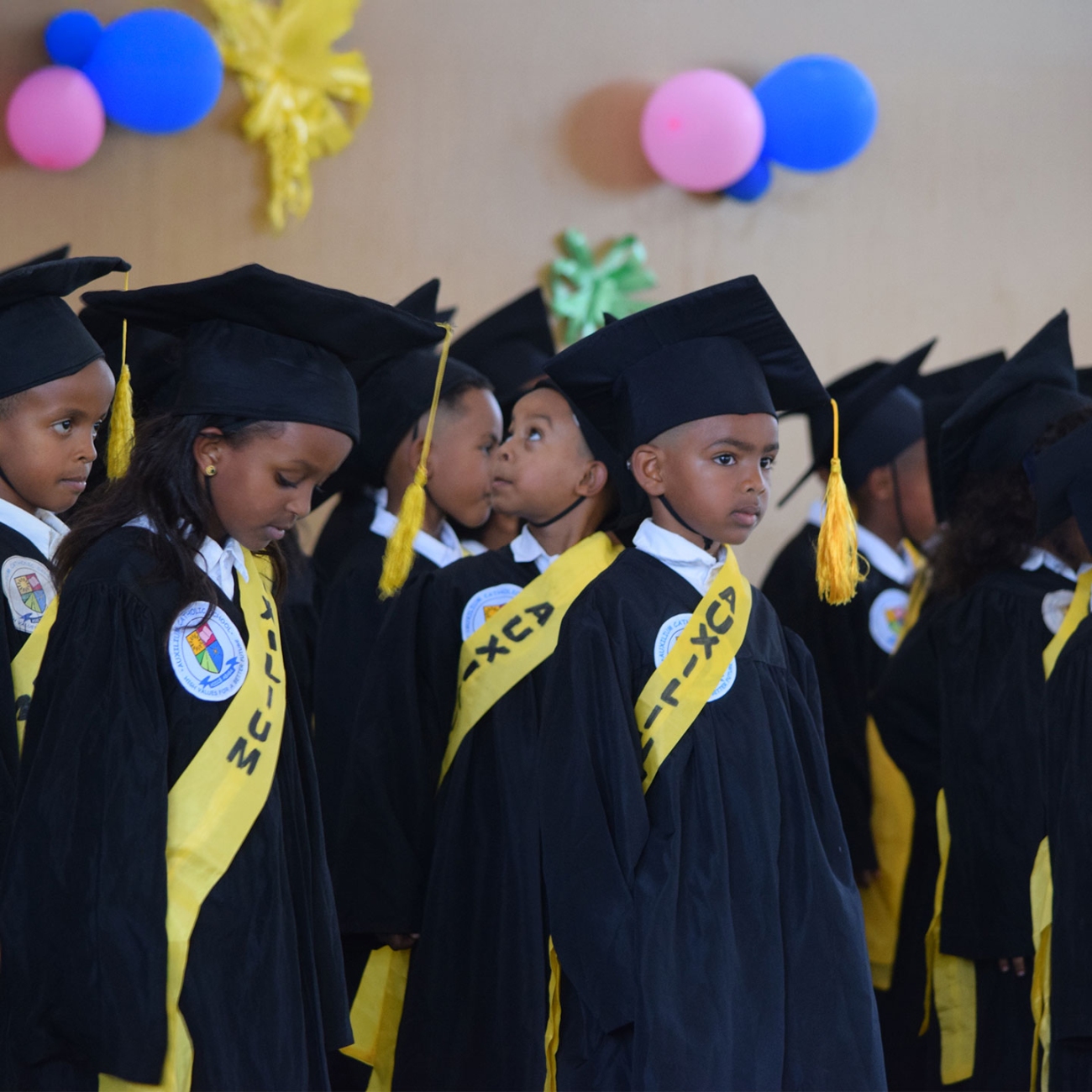 Auxilium Catholic School