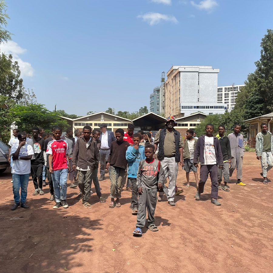 Bosco Children: Allestimento laboratorio elettrico, atelier di meccanica con mezzi agricoli e scuola di cucina e ristorazione