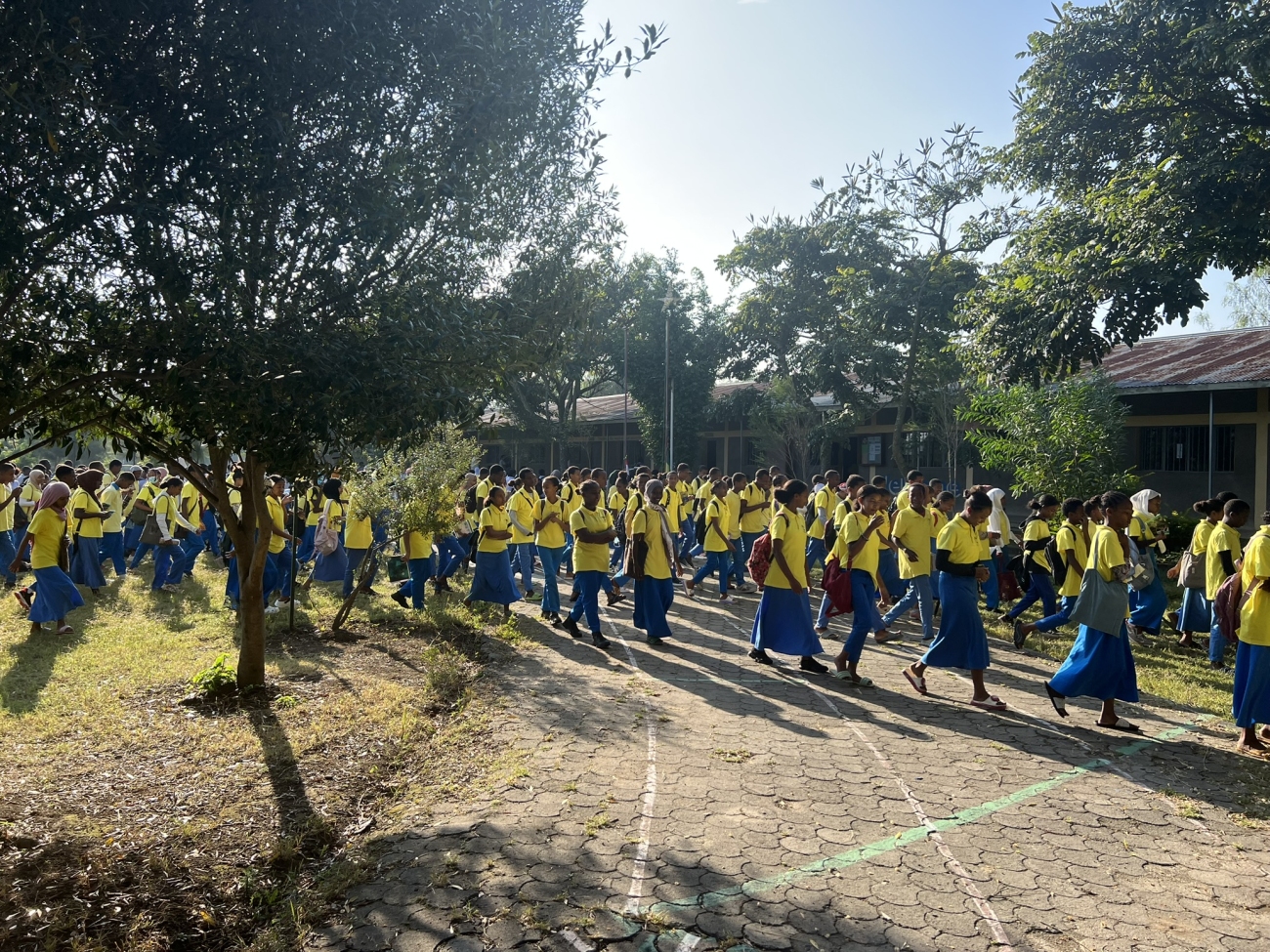 Costruzione di aule per le classi 8-10