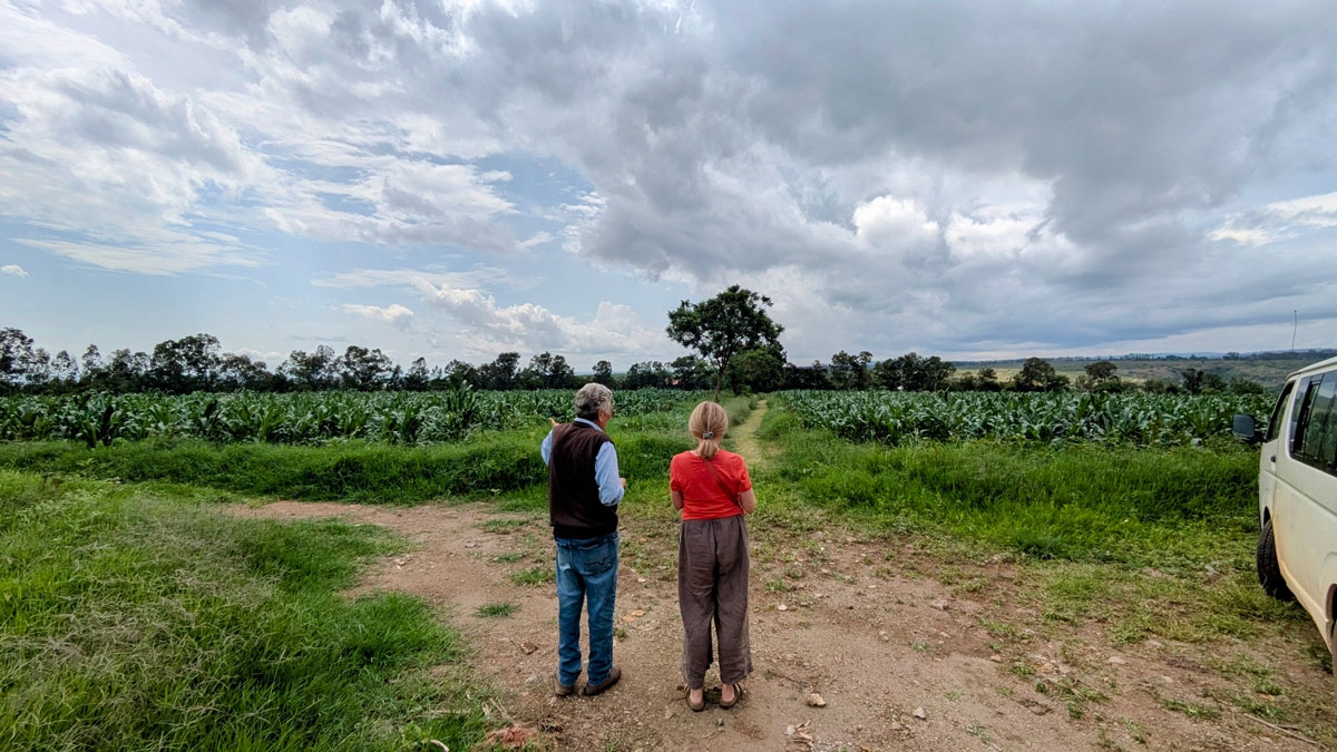 Costruzione di una scuola elementare -- Dilla