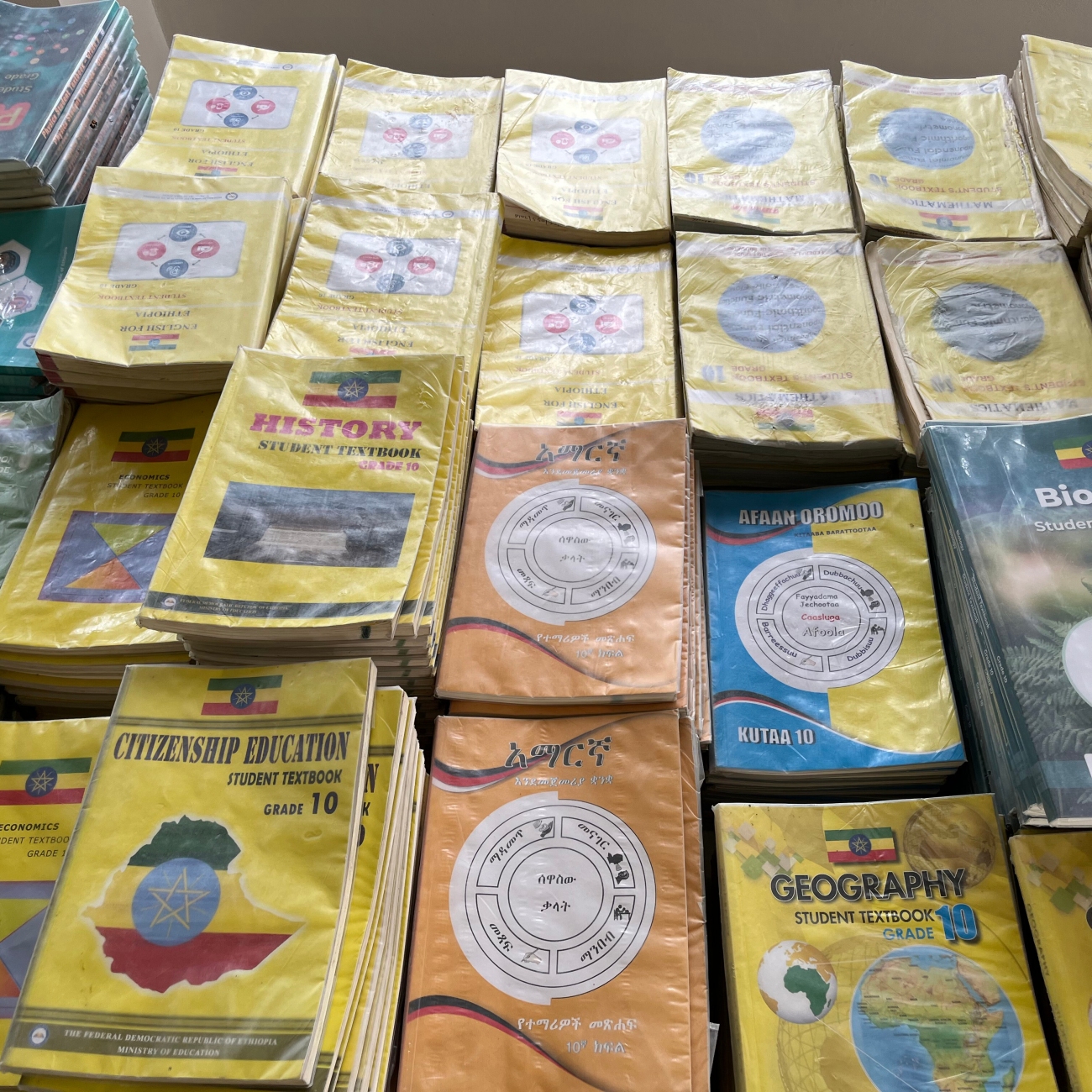 Libri scolastici per la Mary Help Catholic School