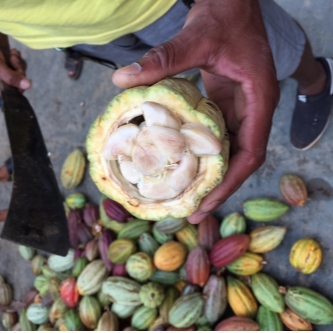 MIASA – Formazione professionale e lavoro per giovani socialmente svantaggiati