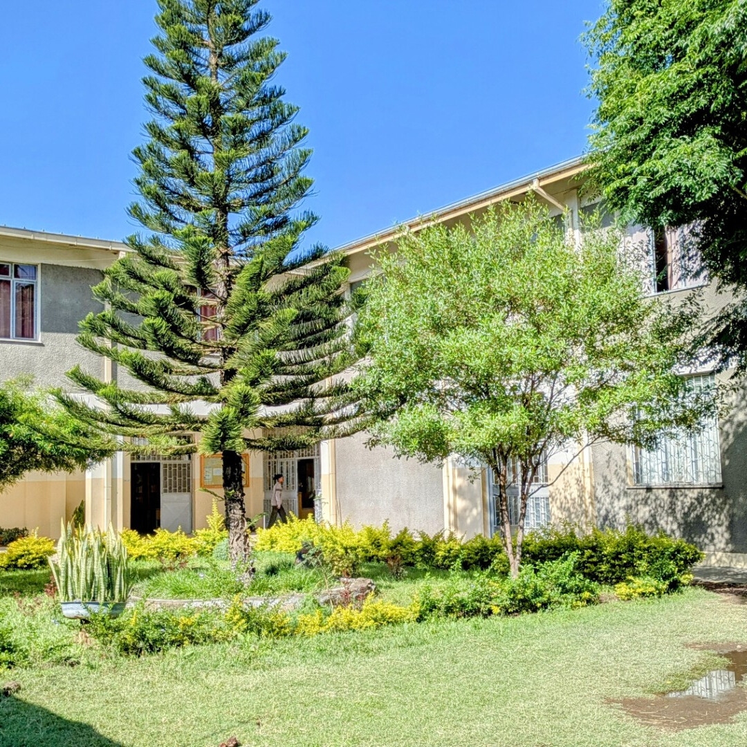 Nuovi percorsi di studio del Mary Help College